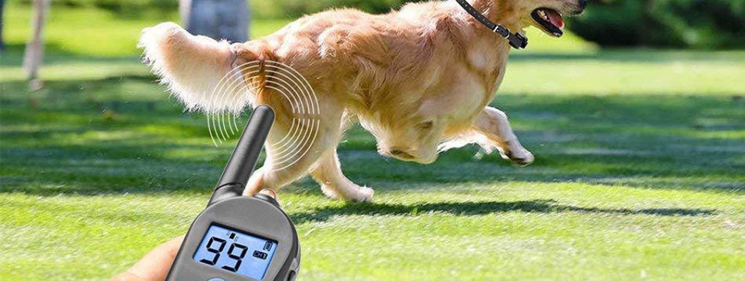 M556 Dog training collar 600 yards with waterproof Rechargeable