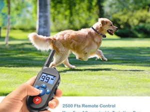 M556 Dog training collar 600 yards with waterproof Rechargeable